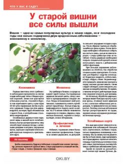 Огурцы в избытке при любой погоде 7 / 2020 Сад огород- кормилец и лекарь