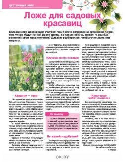 Огурцы в избытке при любой погоде 7 / 2020 Сад огород- кормилец и лекарь