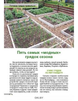 Огород: готовимся к весенним посадкам 4 / 2020 Спецвыпуск «Сад огород - кормилец и лекарь» Огород: готовимся к весенним посадкам 4 / 2020 Спецвыпуск «Сад огород - кормилец и лекарь»