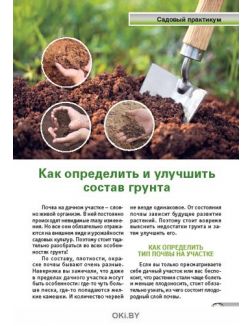 Огород: готовимся к весенним посадкам 4 / 2020 Спецвыпуск «Сад огород - кормилец и лекарь» Огород: готовимся к весенним посадкам 4 / 2020 Спецвыпуск «Сад огород - кормилец и лекарь»