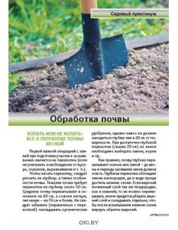 Огород: готовимся к весенним посадкам 4 / 2020 Спецвыпуск «Сад огород - кормилец и лекарь» Огород: готовимся к весенним посадкам 4 / 2020 Спецвыпуск «Сад огород - кормилец и лекарь»