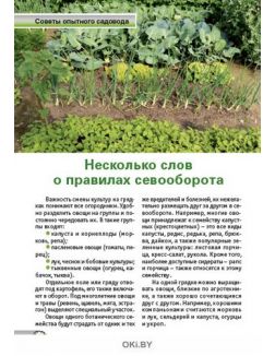 Огород: готовимся к весенним посадкам 4 / 2020 Спецвыпуск «Сад огород - кормилец и лекарь» Огород: готовимся к весенним посадкам 4 / 2020 Спецвыпуск «Сад огород - кормилец и лекарь»