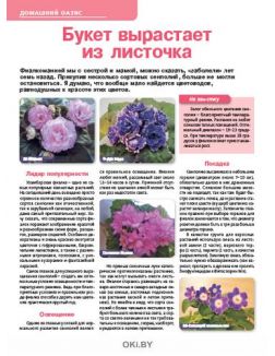 Самые сладкие тыквы 8 / 2020 Сад огород — кормилец и лекарь