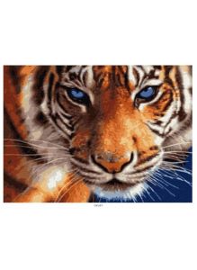 Тигр - живопись по номерам на картоне 30х40 см, Azart