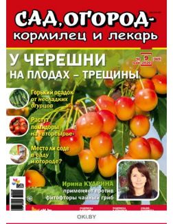 У черешни на плодах - трещины 9 / 2020 Сад, огород - кормилец и лекарь