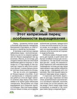 Сладкий и острый перец 5 / 2020 Спецвыпуск «Сад, огород - кормилец и лекарь»