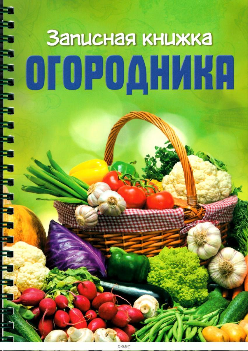 Как сделать «древнюю» записную книжку?