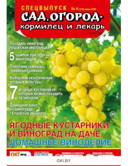 Ягодные кустарники и виноград на даче 6 / 2020 Спецвыпуск «Сад огород - кормилец и лекарь»