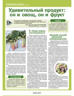 Отчего «ржавеют» помидоры 12 / 2020 Сад, огород — кормилец и лекарь