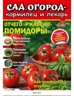 Отчего «ржавеют» помидоры 12 / 2020 Сад, огород — кормилец и лекарь