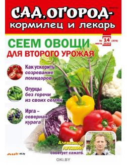 Сеем овощи для второго урожая 14 / 2020 Сад, огород - кормилец и лекарь