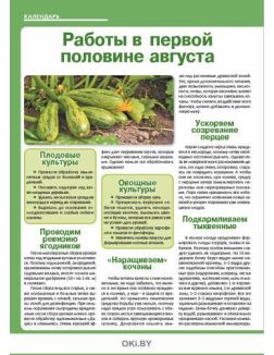 Сеем овощи для второго урожая 14 / 2020 Сад, огород - кормилец и лекарь