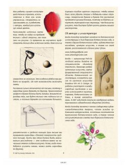 Ботаническая иллюстрация. Обучающий скетчбук Ботаническая иллюстрация. Обучающий скетчбук