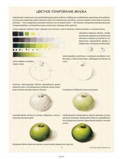 Ботаническая иллюстрация. Обучающий скетчбук Ботаническая иллюстрация. Обучающий скетчбук