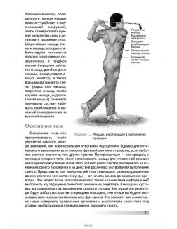 Анатомия гольфа (Винс ди Сайя, Крейг Дэвис)