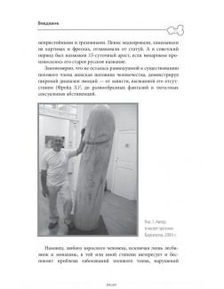 «Главный» мужской орган. Медицинские исследования, исторические факты и забавные культурные феномены (eks)