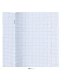 Тетрадь школьная 12 листов клетка (170х205)