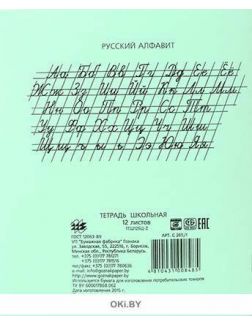 Тетрадь школьная 12 листов линейка (170х205)