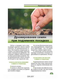 Подзимний сев 9 / 2020 Спецвыпуск «Сад огород - кормилец и лекарь»
