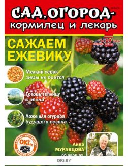 Сажаем ежевику 19 / 2020 Сад огород - кормилец и лекарь