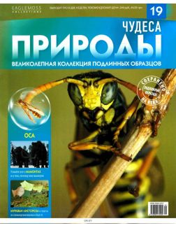 Чудеса природы (ДЕФЕКТ) № 19 Чудеса природы (ДЕФЕКТ) № 19