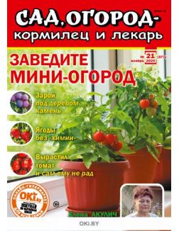 Заведите мини-огород 21 / 2020 Сад, огород- кормилец и лекарь