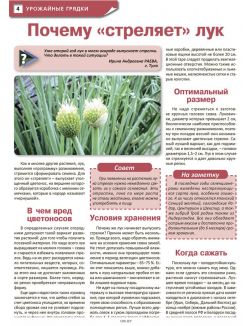 Чем кормить «зеленую» землянику 24 / 2020 Сад, огород - кормилец и лекарь
