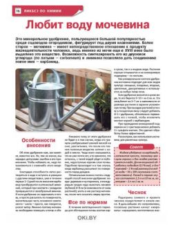 Самый «нетерпеливый» овощ 2 / 2021 Сад, огород — кормилец и лекарь
