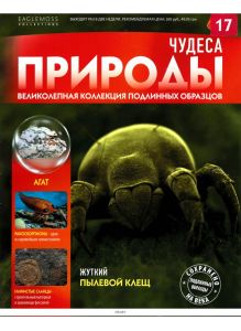 Чудеса природы № 17