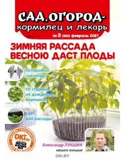 Зимняя рассада весною даст плоды 3 / 2021 Сад, огород — кормилец и лекарь
