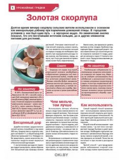 Зимняя рассада весною даст плоды 3 / 2021 Сад, огород — кормилец и лекарь