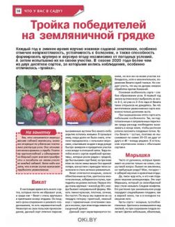 Зимняя рассада весною даст плоды 3 / 2021 Сад, огород — кормилец и лекарь