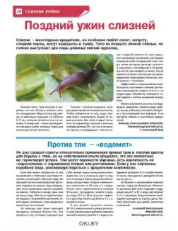 Зимняя рассада весною даст плоды 3 / 2021 Сад, огород — кормилец и лекарь
