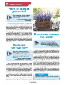 Зимняя рассада весною даст плоды 3 / 2021 Сад, огород — кормилец и лекарь