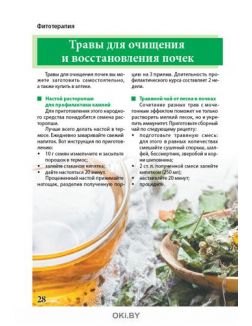 Печень и почки: лечим, чистим, оздоравливаем 2 / 2021 Сам себе скорая помощь