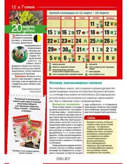 Герой номера - Михаил Пореченков. 3 / 2021 Календарь советов