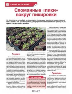 Весенний приз — сочный редис 5 / 2021 Сад, огород — кормилец и лекарь