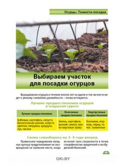 Огурцы и помидоры 3 / 2021 Спецвыпуск «Сад огород - кормилец и лекарь» Огурцы и помидоры 3 / 2021 Спецвыпуск «Сад огород - кормилец и лекарь»