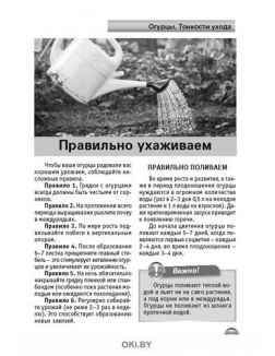 Огурцы и помидоры 3 / 2021 Спецвыпуск «Сад огород - кормилец и лекарь» Огурцы и помидоры 3 / 2021 Спецвыпуск «Сад огород - кормилец и лекарь»
