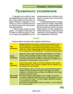 Огурцы и помидоры 3 / 2021 Спецвыпуск «Сад огород - кормилец и лекарь» Огурцы и помидоры 3 / 2021 Спецвыпуск «Сад огород - кормилец и лекарь»