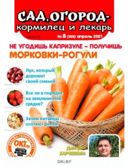 Не угодишь капризуле - получишь морковки-рогули 8 / 2021 Сад огород — кормилец и лекарь