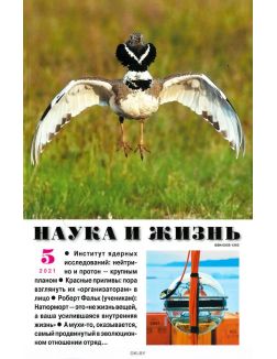 Наука и жизнь 5 / 2021