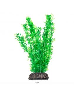 Растение «Лигодиум» зеленый 200 мм, Laguna