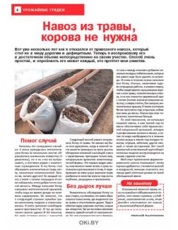 Свекла на макушке лета 14 / 2021 Сад, огород — кормилец и лекарь