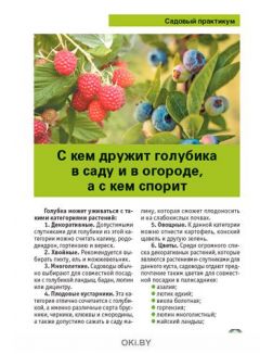 Голубика и другие ягодные кустарники 9 / 2021 Спецвыпуск «Сад огород - кормилец и лекарь»