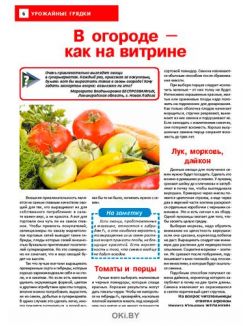 Долго ли початки останутся сладки? 18 / 2021 Сад, огород — кормилец и лекарь