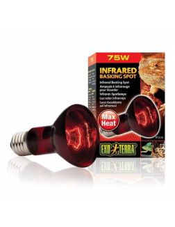 Лампа инфракрасная Infrared Basking Spot 75 Вт PT2142