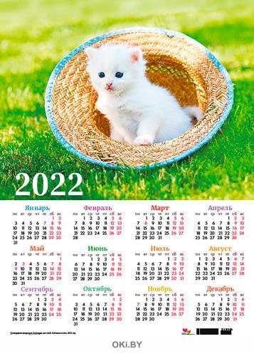 Купить Календарь листовой «Любимые котята» на 2022 год (А3) в Минске в  Беларуси в интернет-магазине OKi.by с бесплатной доставкой или самовывозом