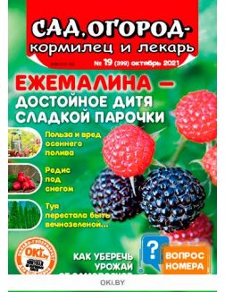 Ежемалина — достойное дитя сладкой парочки 19 / 2021 Сад, огород — кормилец и лекарь