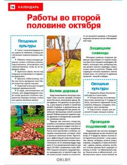 Ежемалина — достойное дитя сладкой парочки 19 / 2021 Сад, огород — кормилец и лекарь